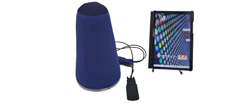 Leg prosthetic assessment